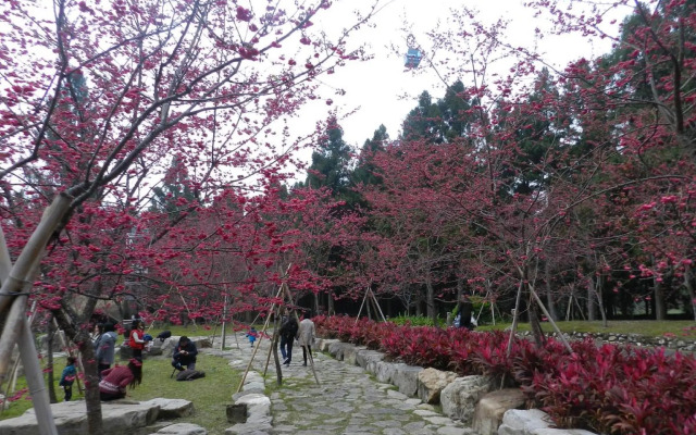 Sun Moon Lake Youngquan Hotels