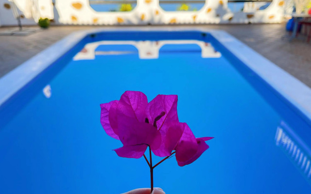 CASANTILVIA Turtle & Starfish