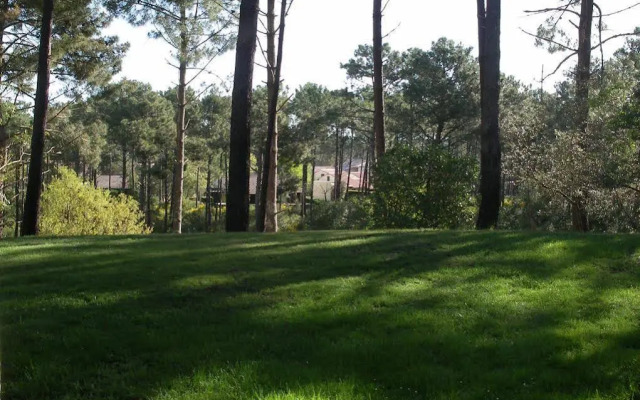 L'Invitation au Voyage