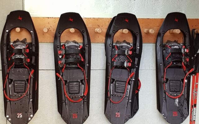 Pension Chalet Berkana