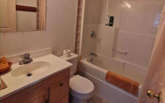 Alpine Meadows Lodge