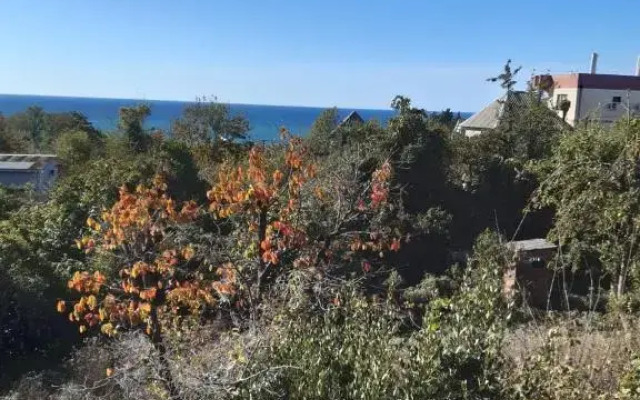 Zvezdnoye Nebo Guest House