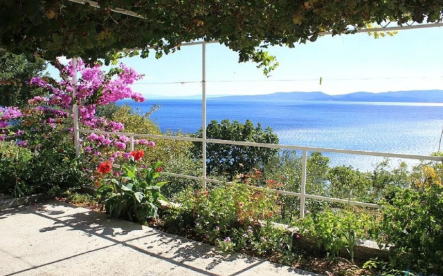 Niko - 50 m From Pebble Beach - A6 Prvi kat