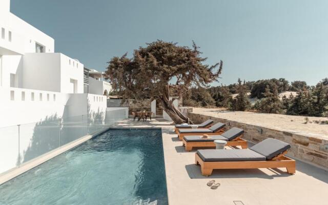 Ammolofos Luxury Apartment & suites