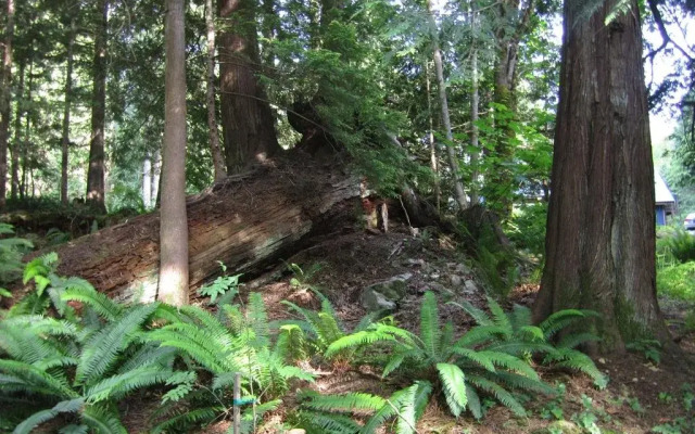 Malaspina Bed and Breakfast
