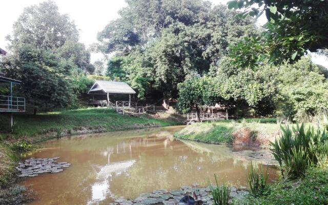 Dreamhome Chiangdao