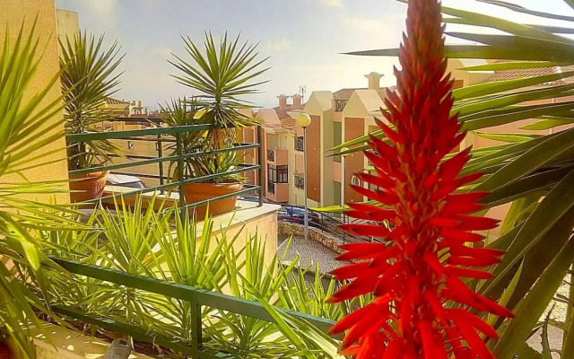 Oceanview Duplex shared Pool & Beach Sesimbra