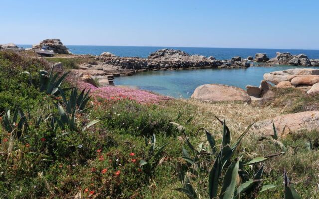 Locazione Turistica Sassicaia