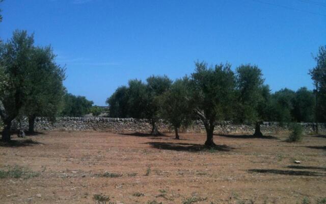 COOEE Surf House and Hospitality