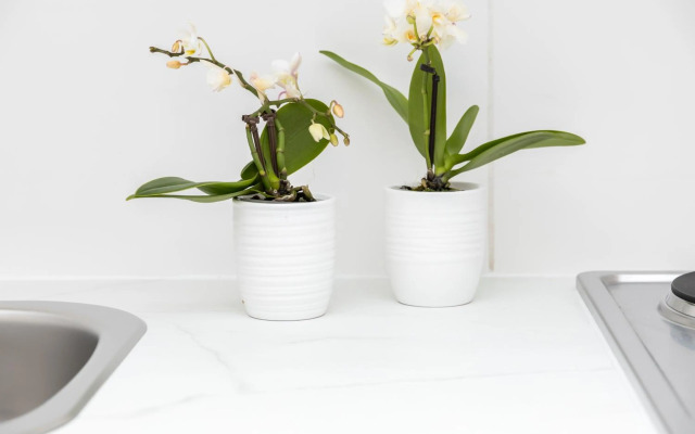 The Place, In The 7Th District Of Vienna