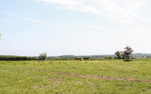 Saddlebacks Barn