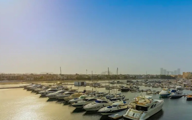 Large waterfront property palm