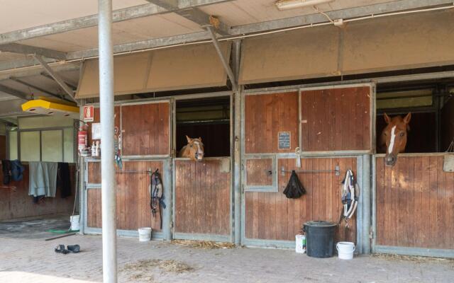 Tranquil Farmhouse in Terranova Bracciolini near Nightlife