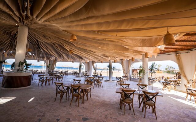 Calimera Blend Paradise