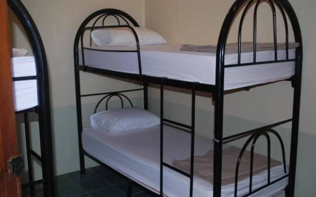 Lazy House Shenanigans