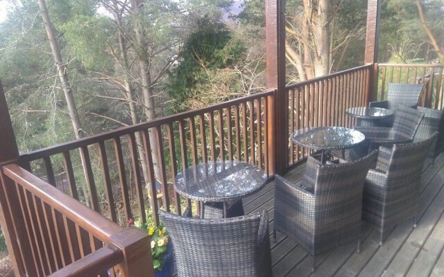 Treetops B&B