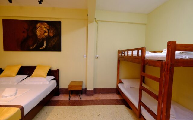 Midsummer Night Hostel