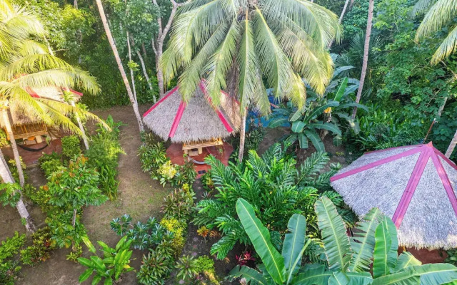 Water To Forest Ecolodge