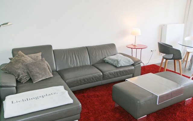 Kegelrobbe Norden in Norden