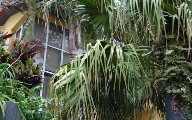 Sofias Place