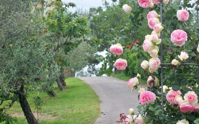 Holiday House Ida