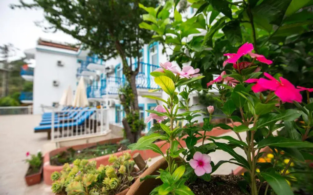 Mavi Yaprak Hotel