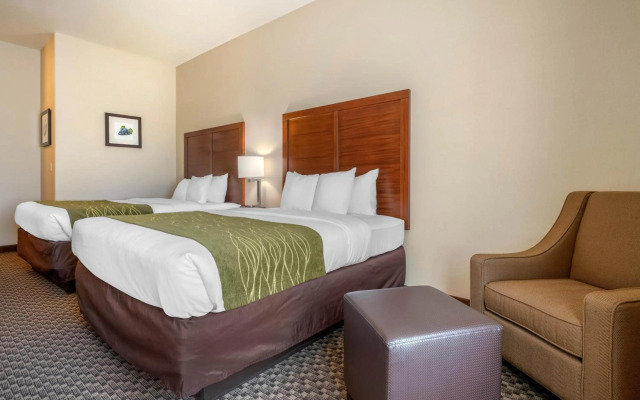 Comfort Inn & Suites Galt - Lodi North