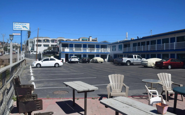 Dolphin Cove Motel