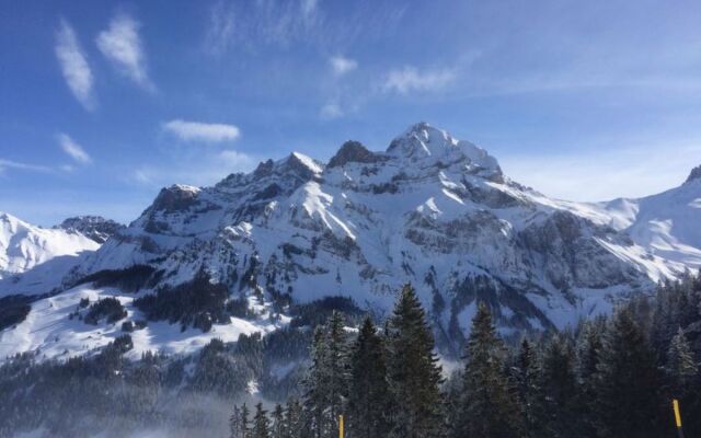 Apartment Aloa Adelboden