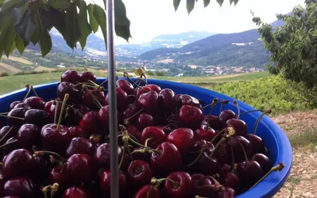 Camping de la Nogarede