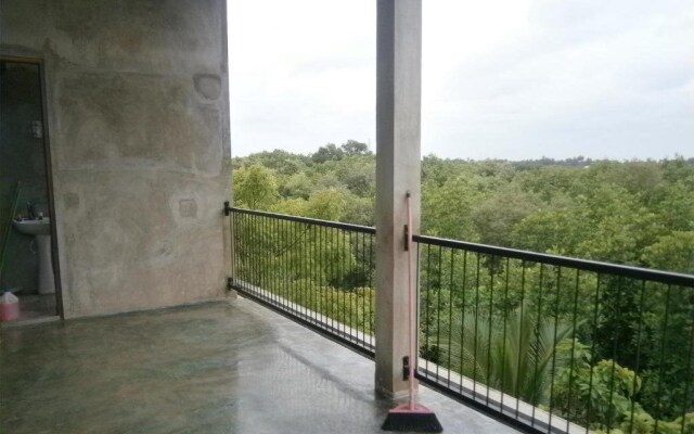 Mangrove Lagoon View