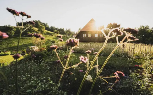 The Old School Guesthouse