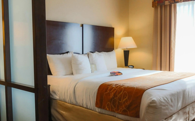 Comfort Suites Charleston West Ashley