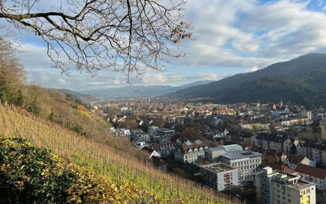 Savoir Vivre Modern Retreat