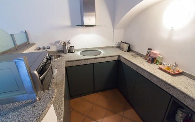 Grand Luxury Apartment Attic Hroznova