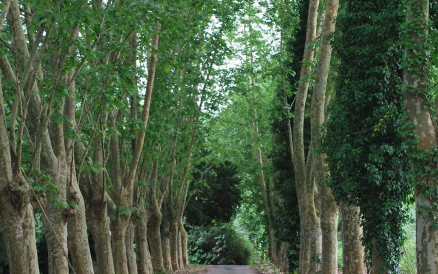 Le Relais de Moussidière