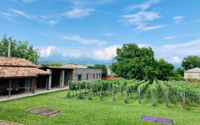 Giorgi Ushikishvili Chateau Celler
