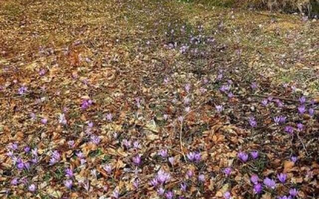 Pensiunea Casa Noastra