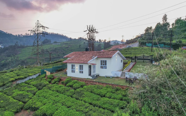 The springs Nilgiris