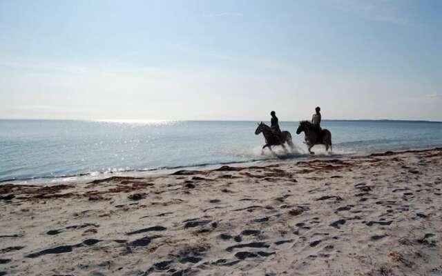 Feddet Strand Resort