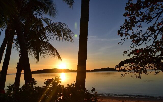 Palm Island