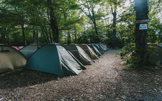 Munich Central Camping