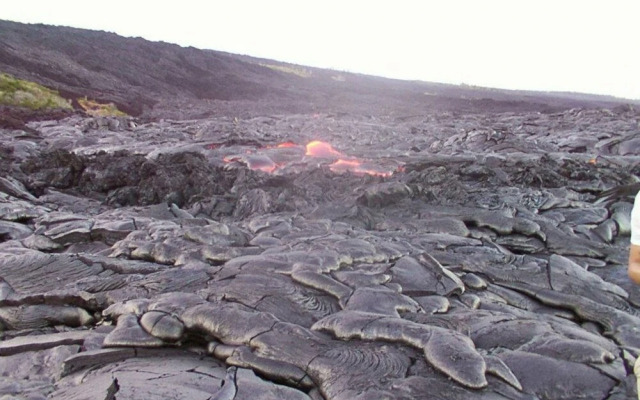 Kuhio Village 701A - 1 Br Condo