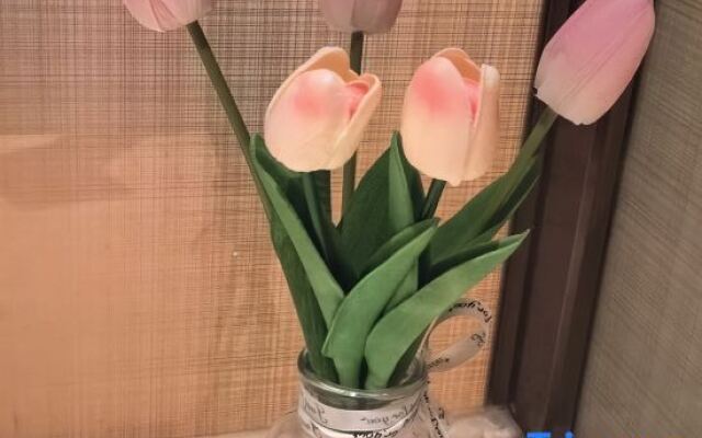 Oukai Impression Hotel (Nanyang Jiangying Airport Binhe Avenue Branch)