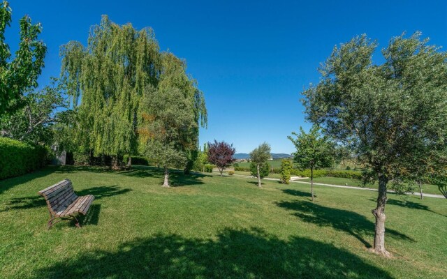 Borgo Syrah Frantoio 4