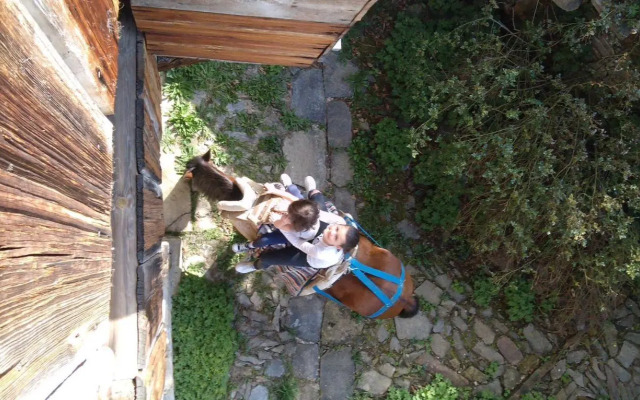 Q.pova house