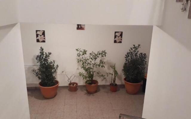 Casa Dobrescu