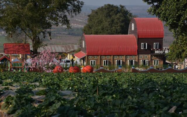 MiCO Hill Resort