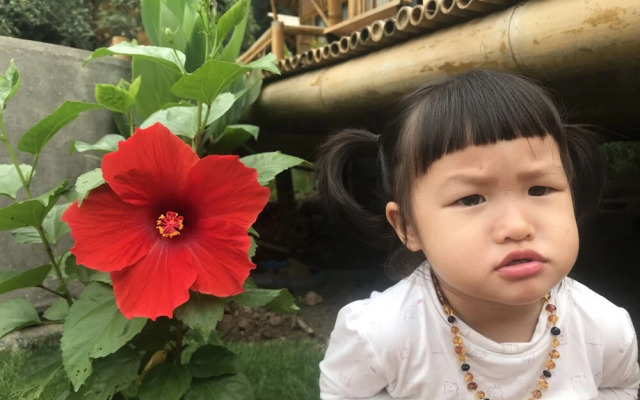 Trang An Lamia Bungalow