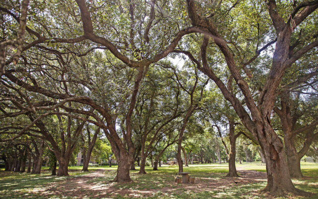 Holiday Inn Suites Houston West - Westway Park